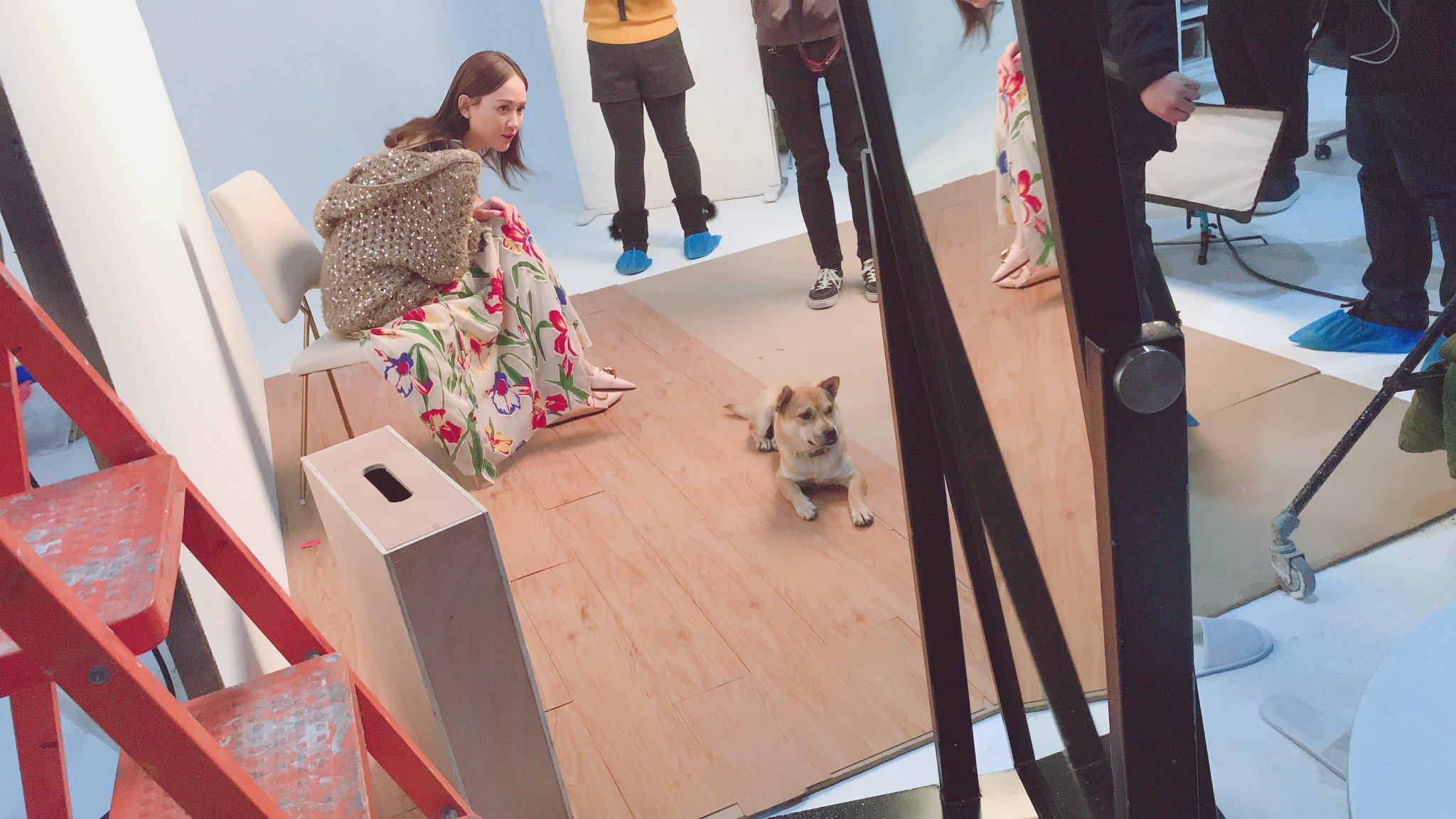 Trần Kiều Ân tái xuất showbiz sau 29 ngày lặn mất tăm vì scandal lái xe say xỉn-3