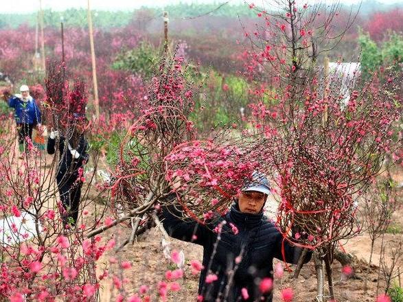 Dự báo thời tiết 6/2: Không khí lạnh có cường độ mạnh, miền Bắc nhiều nơi lạnh chạm kỷ lục-2