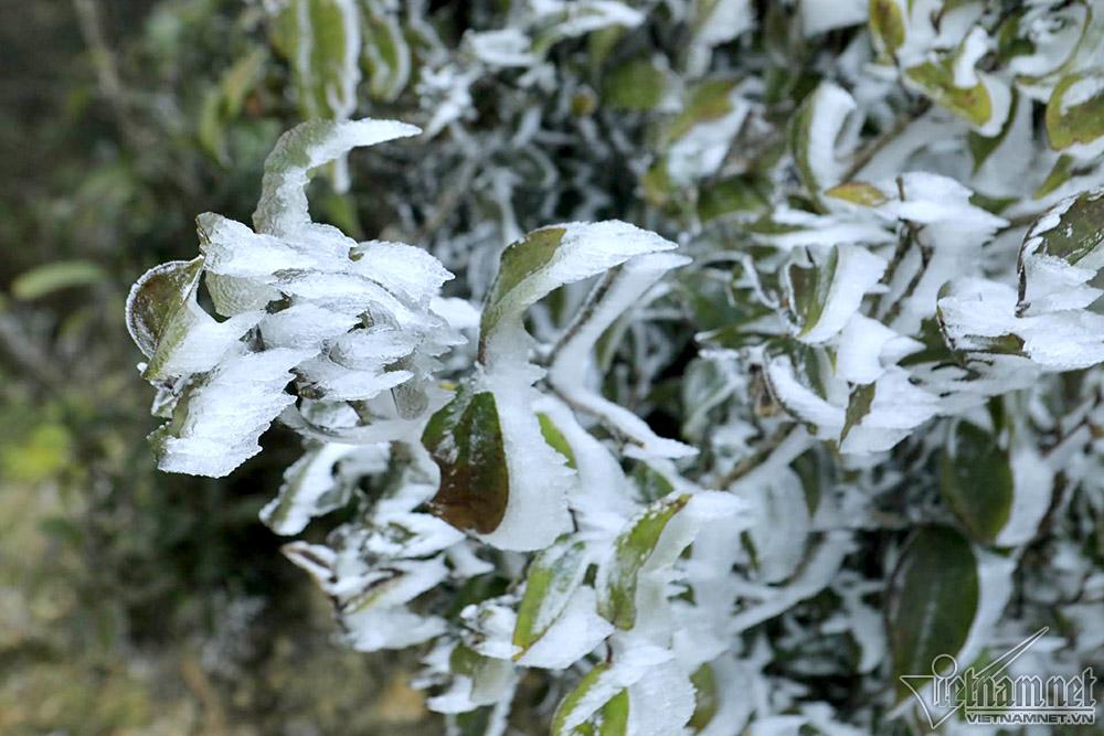 Băng tuyết phủ trắng đỉnh đèo Ô Quý Hồ, mặt đường trơn trượt-10