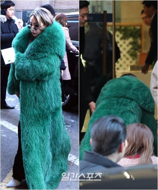 Video khách mời đến tham dự-1