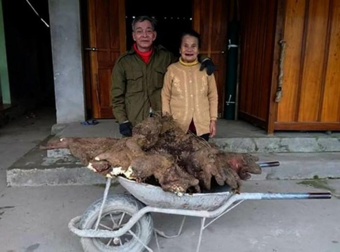 Cô gái bắt cóc bé 3 tháng tuổi ở bệnh viện vì muốn... cưới chồng-3