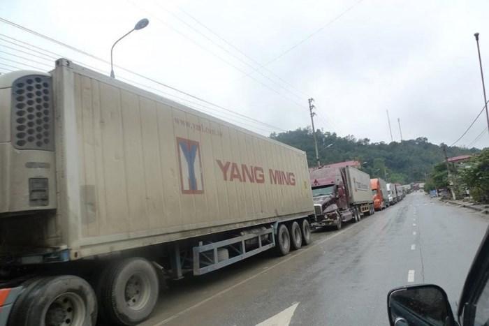 Cô gái bắt cóc bé 3 tháng tuổi ở bệnh viện vì muốn... cưới chồng-5