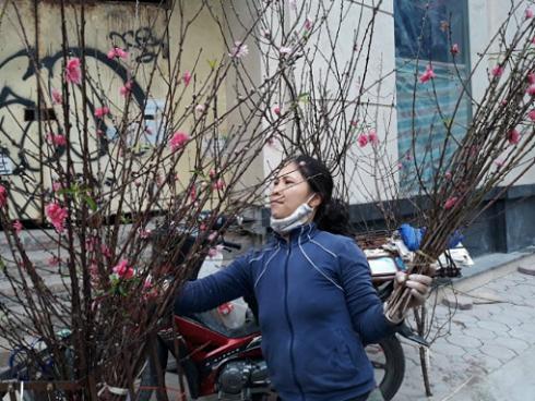 Người tặng thiên nga tại Hà Nội từng bị phạt vì nuôi động vật hoang dã-3