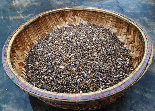 Bún chắt chắt – Món dân dã nhưng ngon đã đời-1