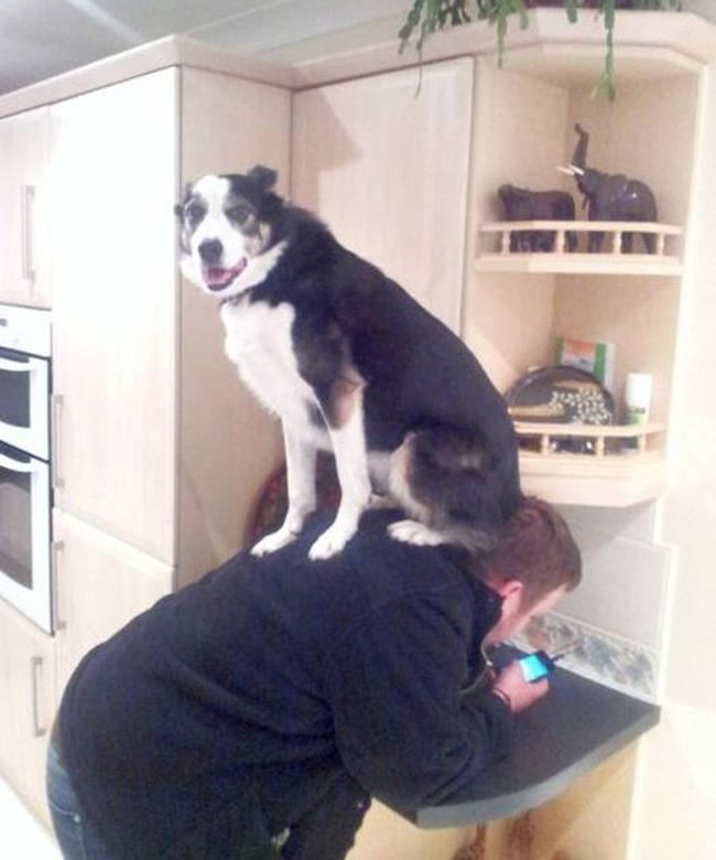 Nhức nhối với những con người hài hước vô đối-2