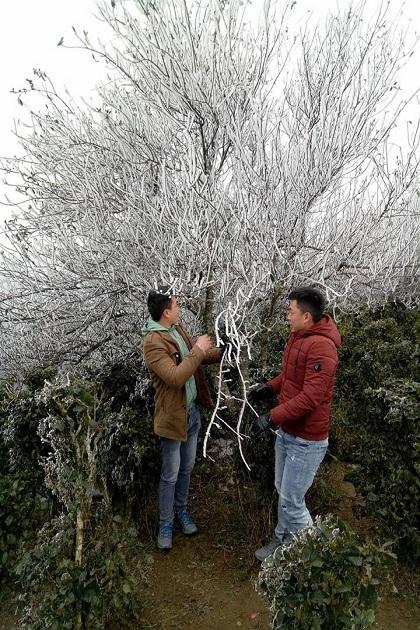 Du khách nô nức lên đỉnh Tà Xùa ngắm băng tuyết vui như trẩy hội-2