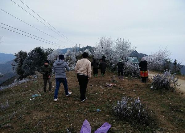 Du khách nô nức lên đỉnh Tà Xùa ngắm băng tuyết vui như trẩy hội-4