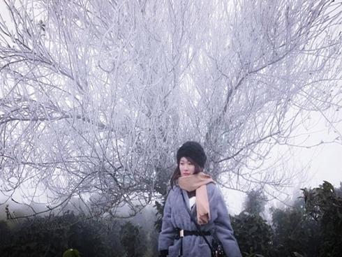 Chàng trai nghỉ việc để đưa cún cưng du ngoạn khắp nước Mỹ-11