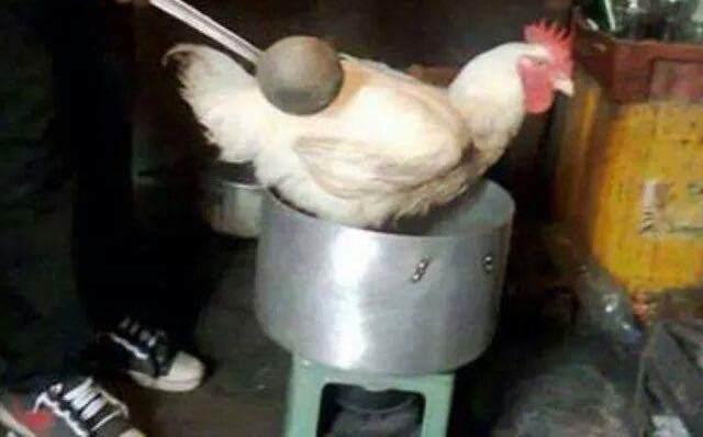 Cười ra nước mắt với lý do ế muôn đời của cư dân mạng-5