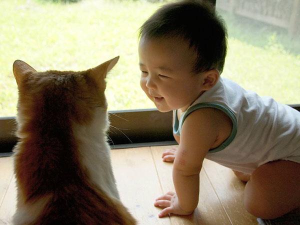 Tình bạn đẹp giữa nhóc tì 2 tuổi và chú mèo chảnh chọe-1