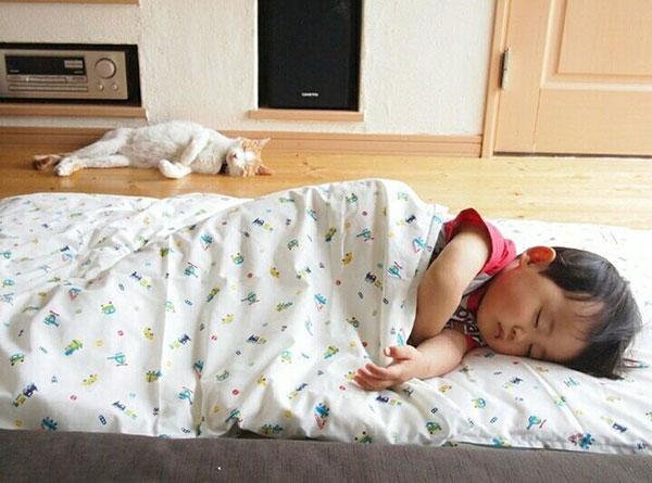 Tình bạn đẹp giữa nhóc tì 2 tuổi và chú mèo chảnh chọe-2