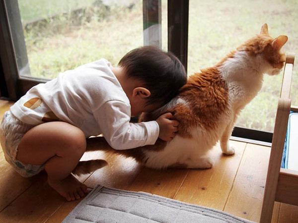 Tình bạn đẹp giữa nhóc tì 2 tuổi và chú mèo chảnh chọe-3