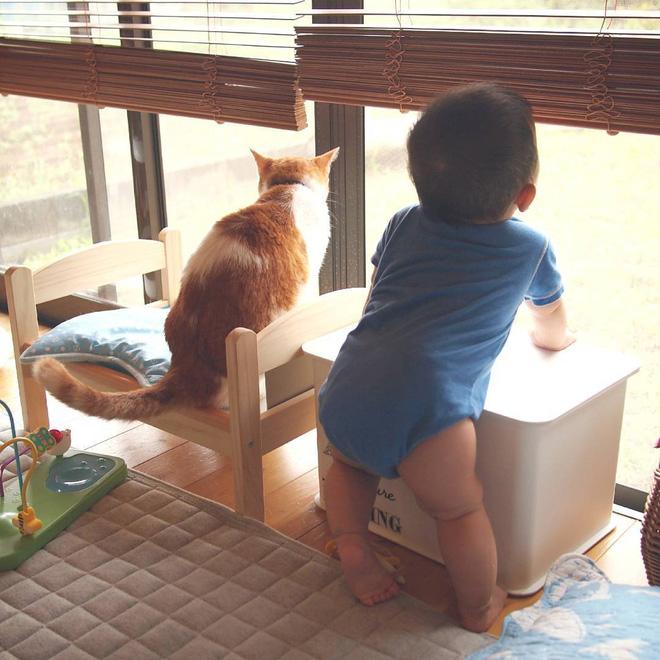 Tình bạn đẹp giữa nhóc tì 2 tuổi và chú mèo chảnh chọe-4
