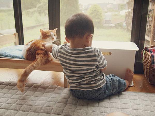 Tình bạn đẹp giữa nhóc tì 2 tuổi và chú mèo chảnh chọe-6
