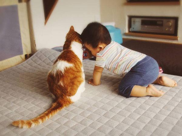 Tình bạn đẹp giữa nhóc tì 2 tuổi và chú mèo chảnh chọe-7