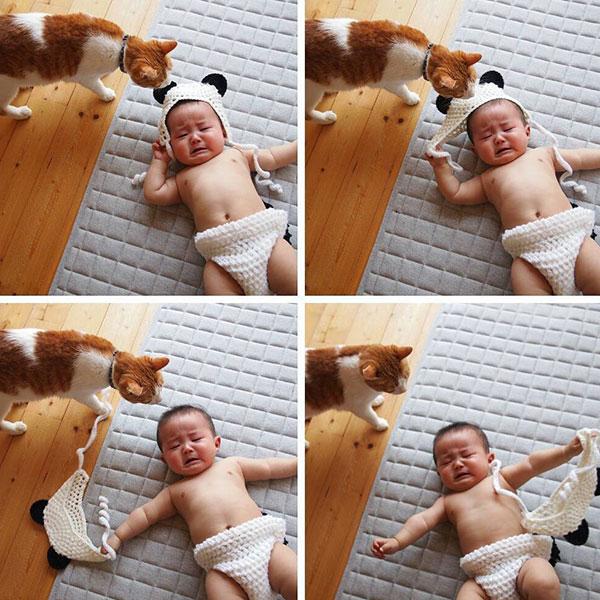 Tình bạn đẹp giữa nhóc tì 2 tuổi và chú mèo chảnh chọe-8