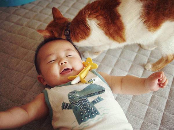 Tình bạn đẹp giữa nhóc tì 2 tuổi và chú mèo chảnh chọe-9