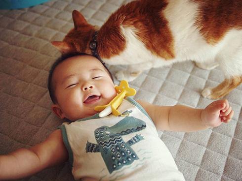 Tình bạn đẹp giữa nhóc tì 2 tuổi và chú mèo chảnh chọe