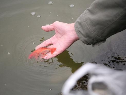 Chôn chân giữa đường ngày giáp Tết, tài xế xe tải cầu cứu-14