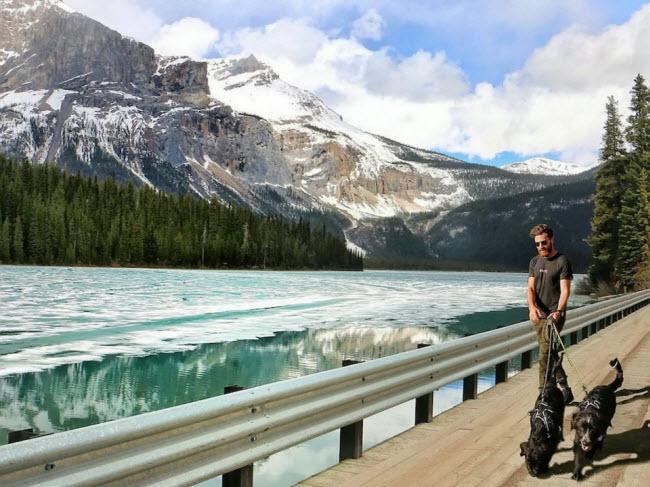 Chàng trai nghỉ việc để đưa cún cưng du ngoạn khắp nước Mỹ-7