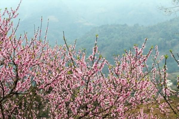 Dịp Tết Nguyên đán, không khí lạnh tràn về miền Bắc đúng ngày tất niên-2