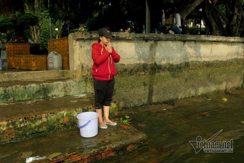 Cá phóng sinh ngày ông Táo vừa được thả đã bị chích điện-2