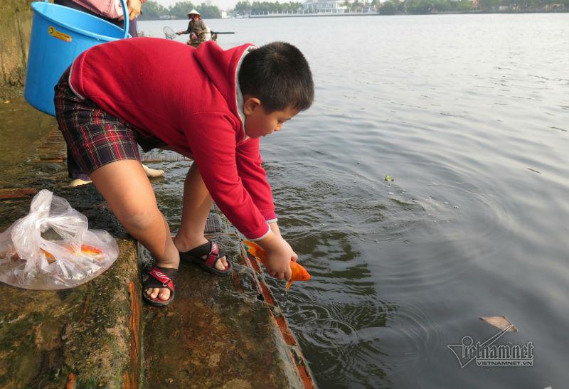 Cá phóng sinh ngày ông Táo vừa được thả đã bị chích điện-5