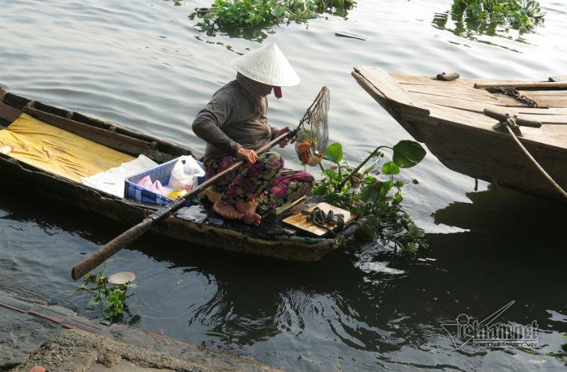Cá phóng sinh ngày ông Táo vừa được thả đã bị chích điện-6