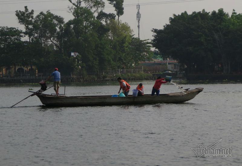 Cá phóng sinh ngày ông Táo vừa được thả đã bị chích điện-10