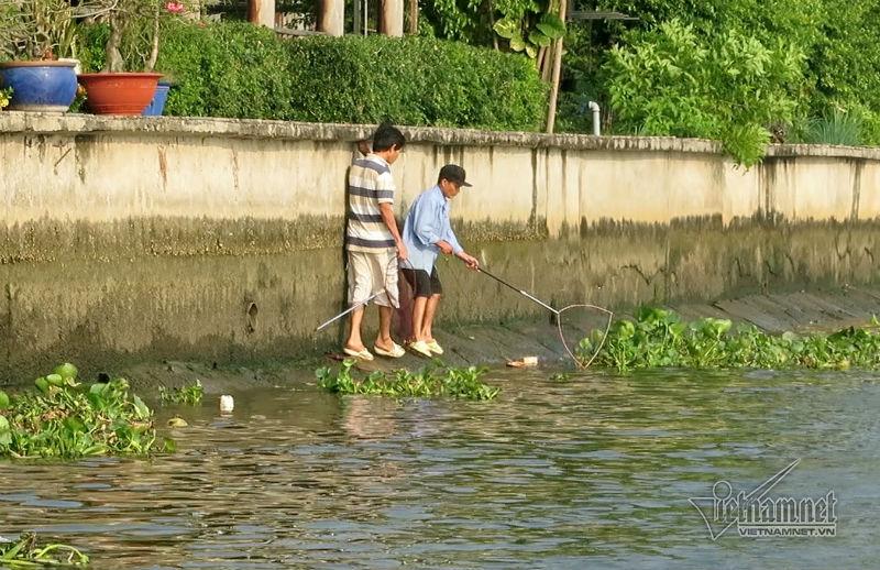 Cá phóng sinh ngày ông Táo vừa được thả đã bị chích điện-13