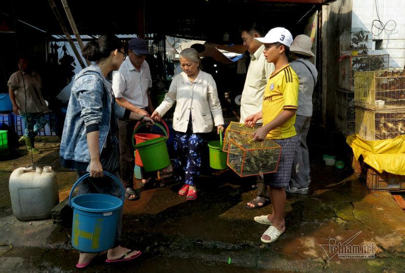 Cá phóng sinh ngày ông Táo vừa được thả đã bị chích điện-14