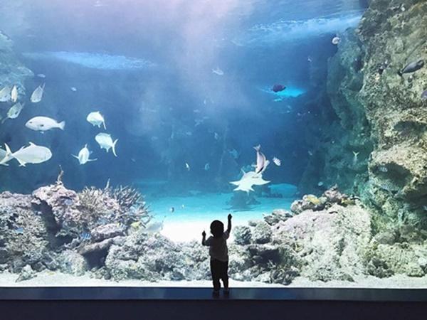 Những sao nhí triệu đô chưa từng một lần được công khai dung nhan của làng showbiz Việt-6