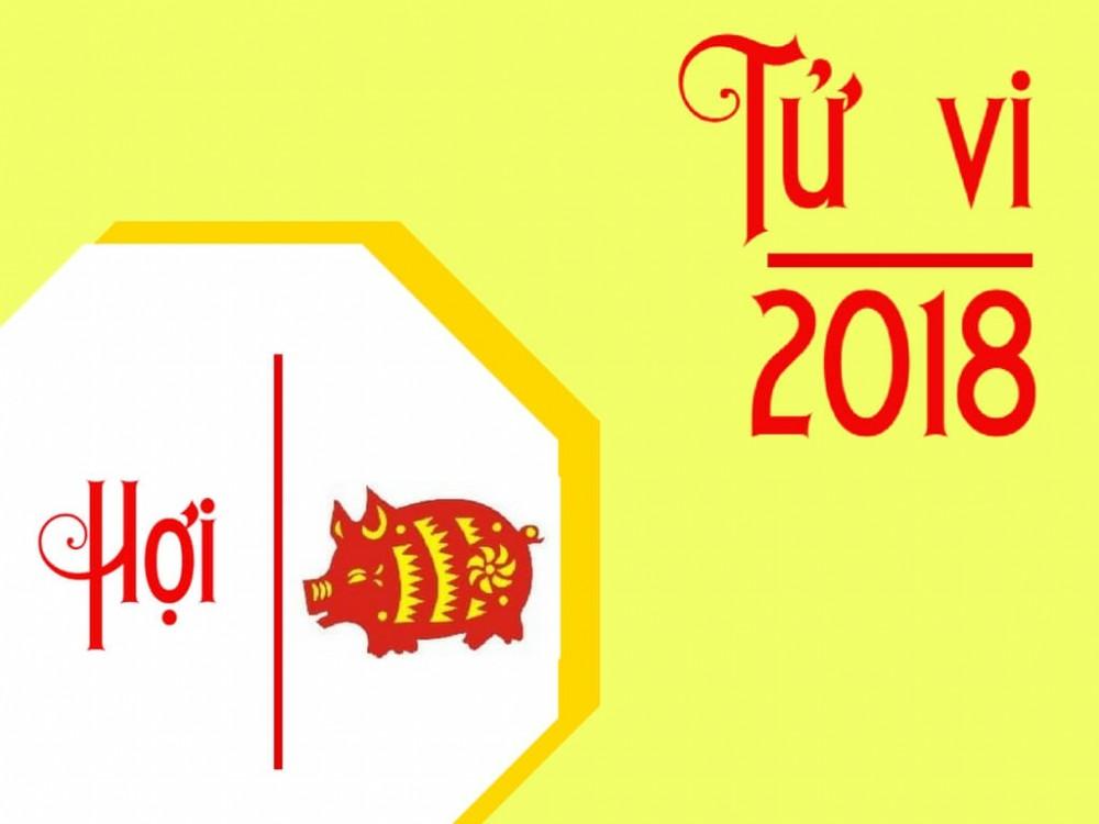 Tử vi tuổi Hợi năm 2018: Cẩn thận thiệt hại tiền của-4