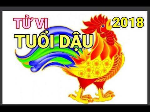 Tử vi tuổi Dậu năm 2018: Tiền bạc vào ào ào, vận may tới tấp-3