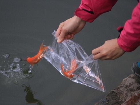 Lật xe khách chở 30 người từ TP HCM về quê ăn tết, ít nhất 12 người thương vong-4