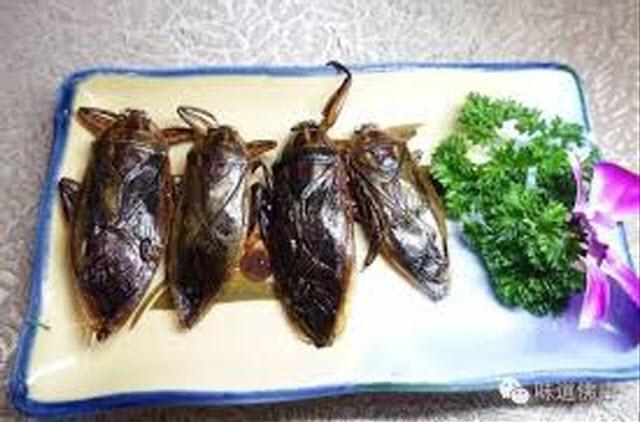 Khóc thét với những món ăn kinh dị nhất Trung Quốc, người phàm ăn cũng chẳng dám nuốt-2