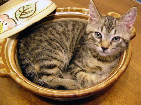 Khóc thét với những món ăn kinh dị nhất Trung Quốc, người phàm ăn cũng chẳng dám nuốt-9