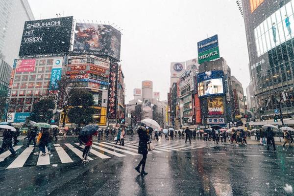Tokyo đẹp nghẹt thở trong màn tuyết giá buốt-10