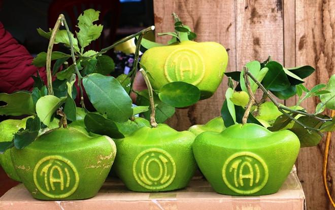 Bưởi hình thỏi vàng có chữ Tài - Lộc giá 1 triệu đồng mỗi cặp-1