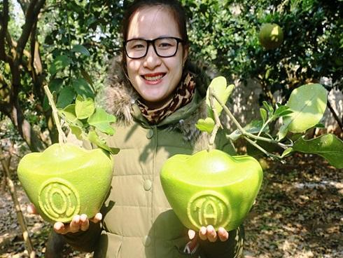 Cách kiểm tra tình trạng pin, tắt tùy chọn làm chậm iPhone cũ ở iOS 11.3 beta-3