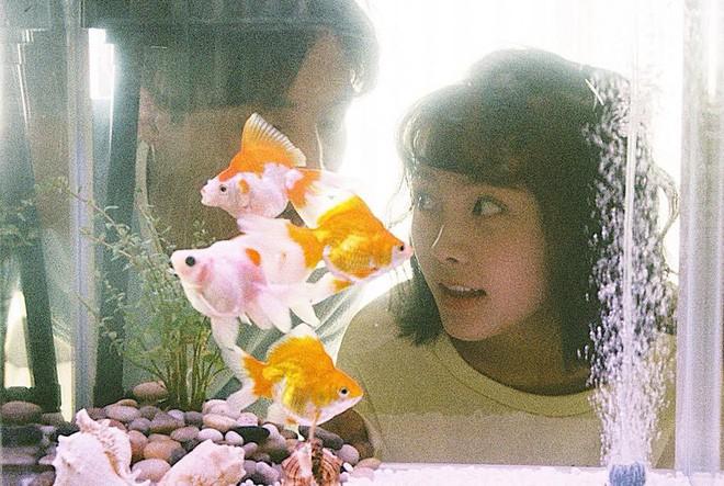 Thêm một bộ ảnh couple chụp bằng máy film tình đến từng khoảnh khắc-4