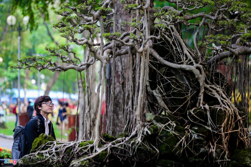 Hàng nghìn người dạo chơi Hội hoa xuân Tao Đàn-10