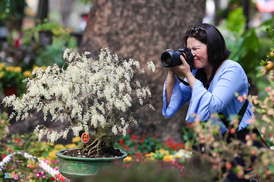 Hàng nghìn người dạo chơi Hội hoa xuân Tao Đàn-12
