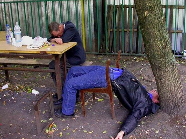 Tin vịt Tết 1: Cho chừa thói hái lộc bừa bãi-1