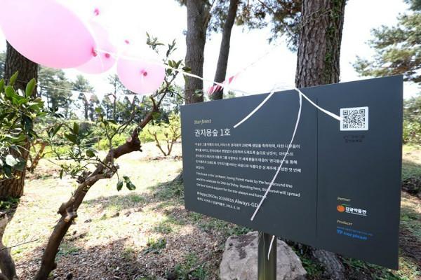 Muôn vàn món quà fan tặng thần tượng: Từ rẻ tiền độc lạ cho đến đắt đỏ siêu sang-5