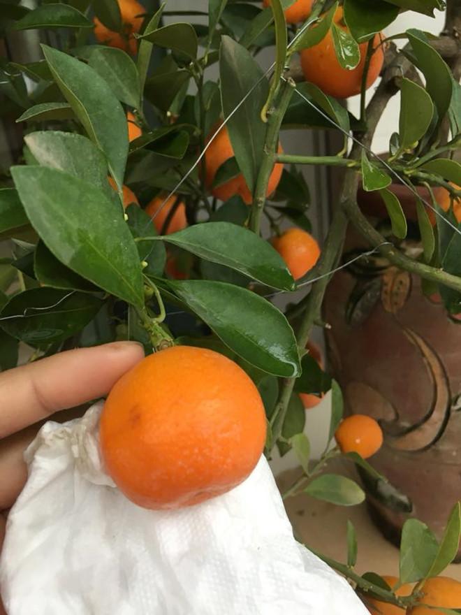 Dân mạng khoe ảnh dọn nhà đón Tết-10