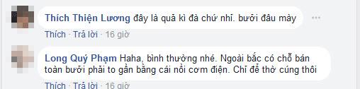 Chàng trai khoe được tặng bưởi khủng thờ Tết, dân mạng được phen bóc mẽ sự thật-6