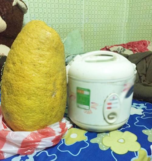 Chàng trai khoe được tặng bưởi khủng thờ Tết, dân mạng được phen bóc mẽ sự thật-2