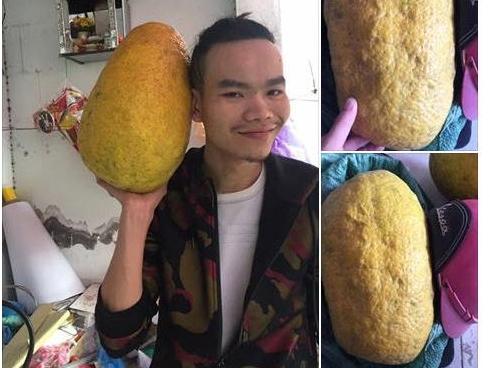 Chàng trai khoe được tặng bưởi khủng thờ Tết, dân mạng được phen bóc mẽ sự thật