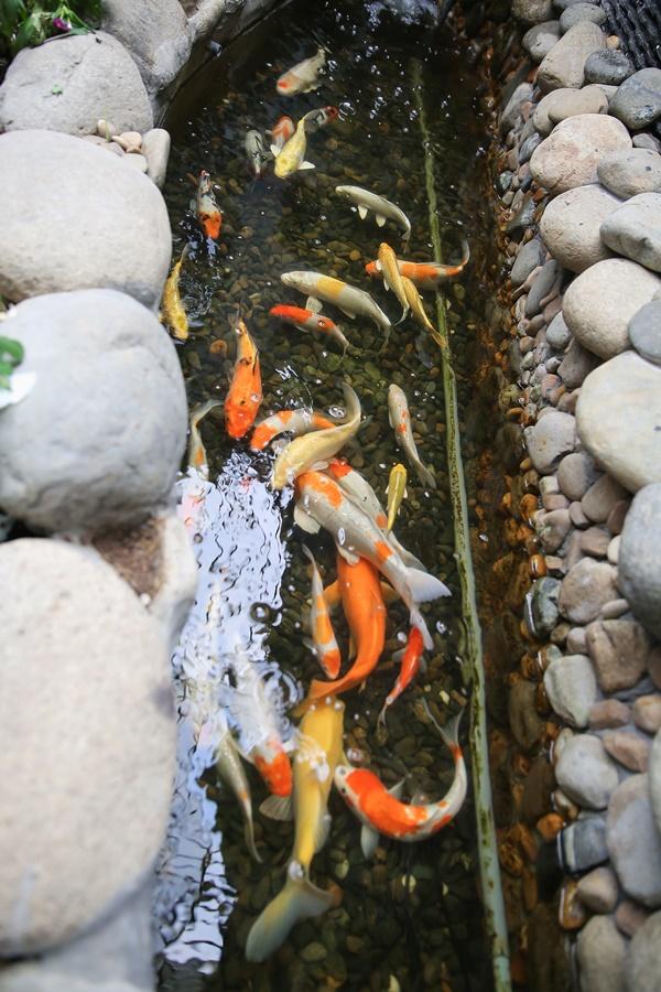 Đầu năm, ghé thăm căn hộ màu trắng sang trọng của Hồ Quang Hiếu-13